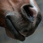 Wilmslow Injury Solicitors