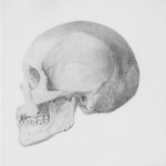 Unsplash - skull