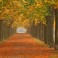 Conveyancing Rochdale