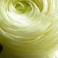 Alderley Edge Probate Solicitors